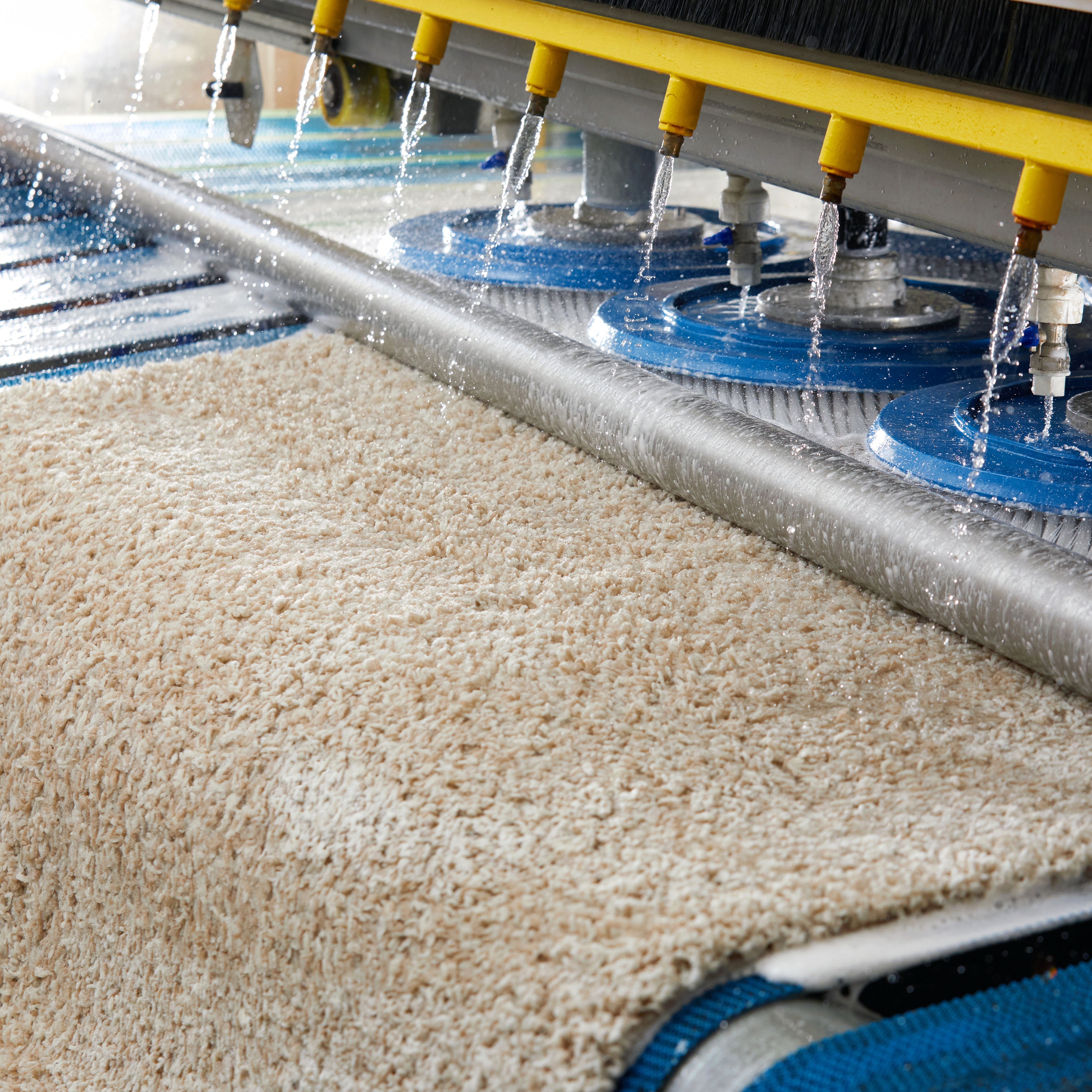 Carpet Cleaning